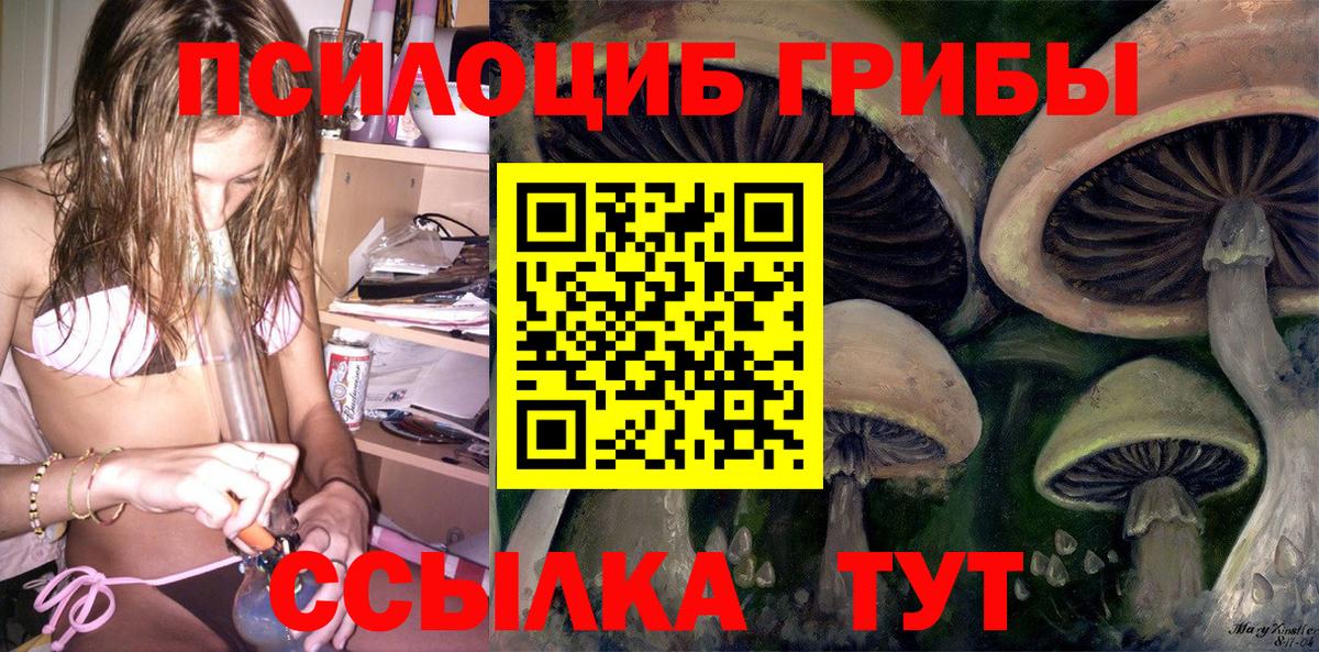 Галлюциногенные грибы мухоморы  Вход с VPN  Чапаевск 