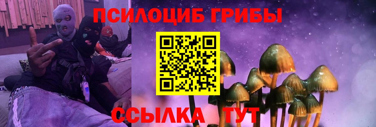 Галлюциногенные грибы прущие грибы Чапаевск